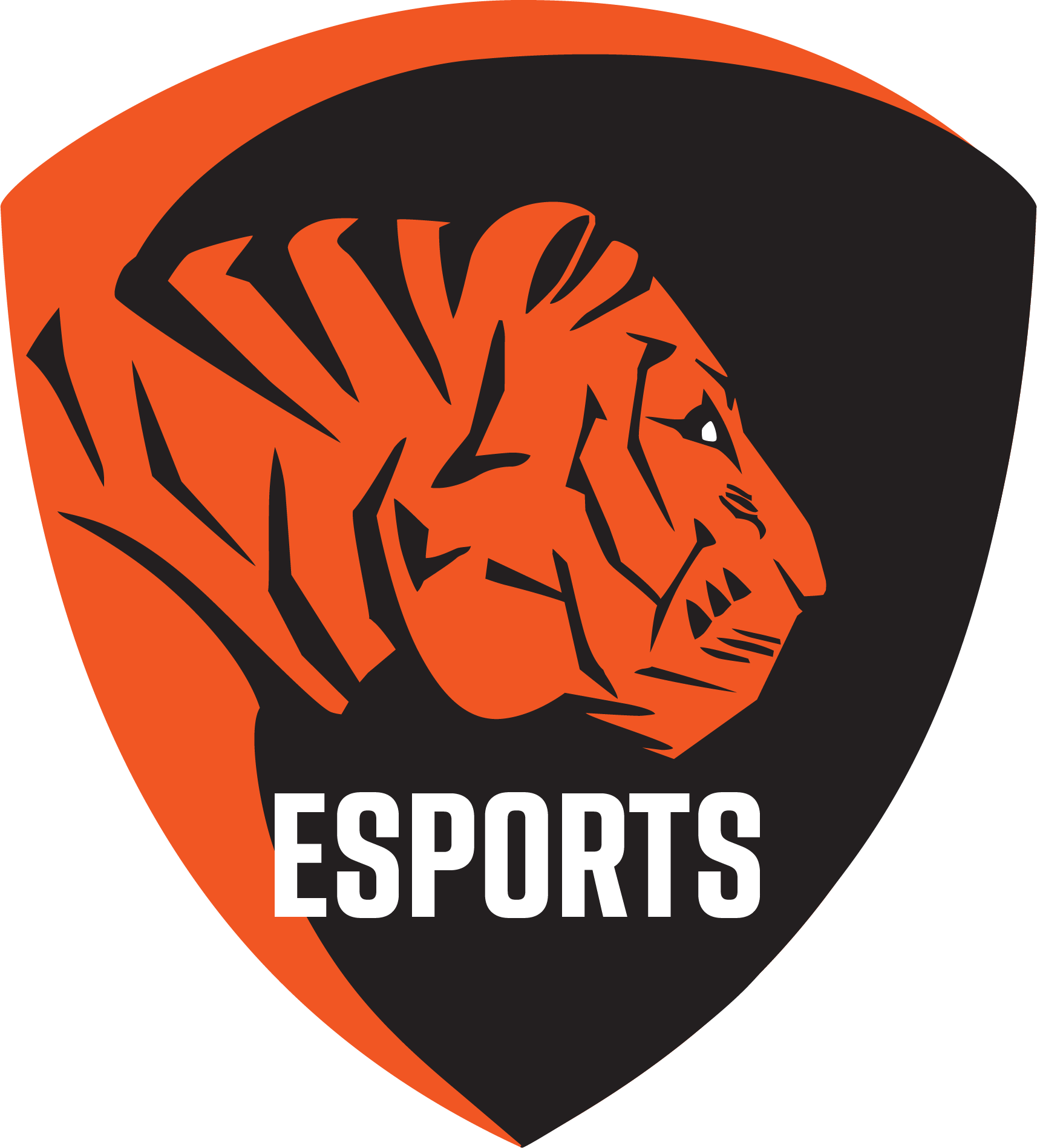 Esports Logo