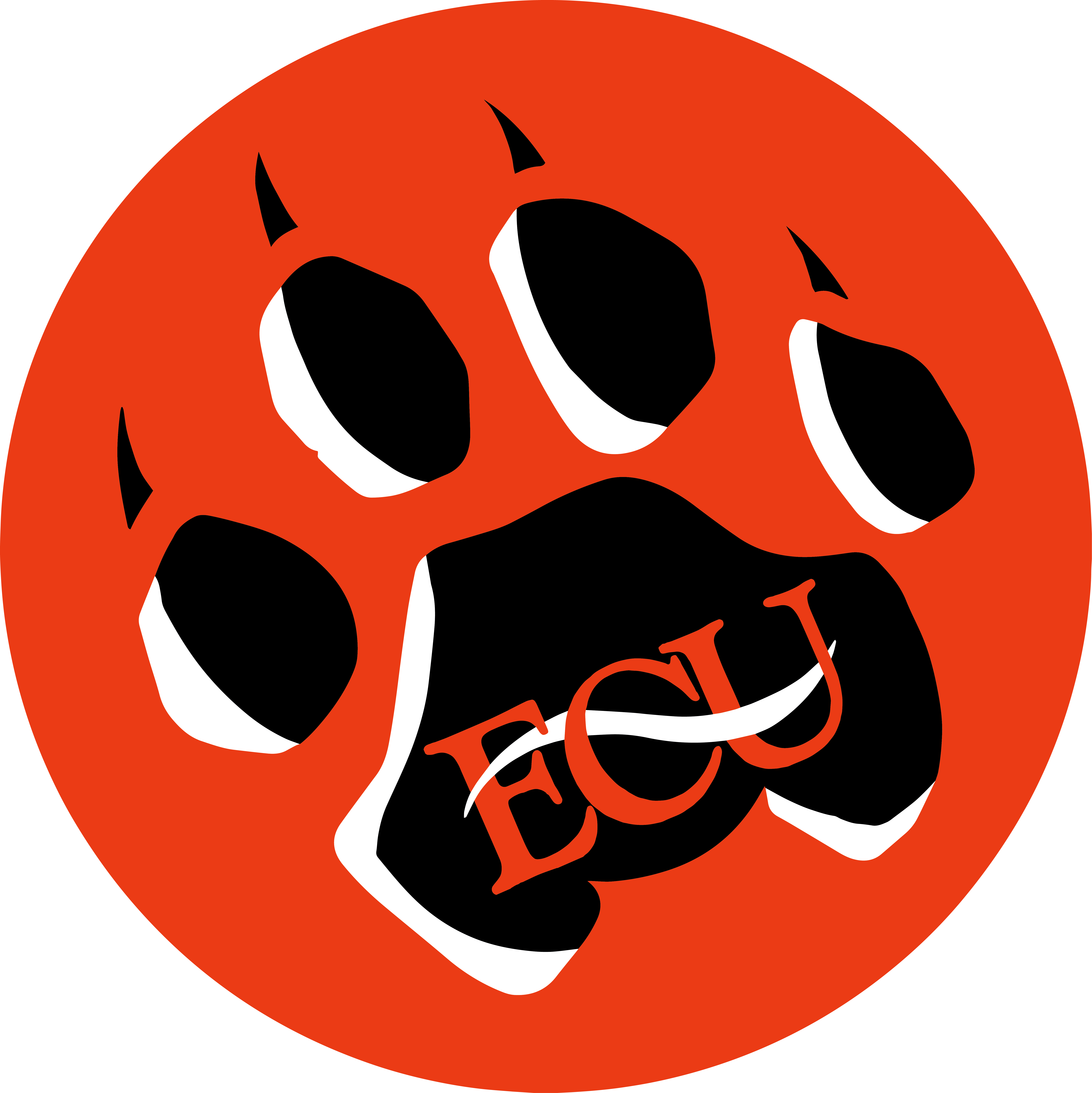 Primary Paw Print