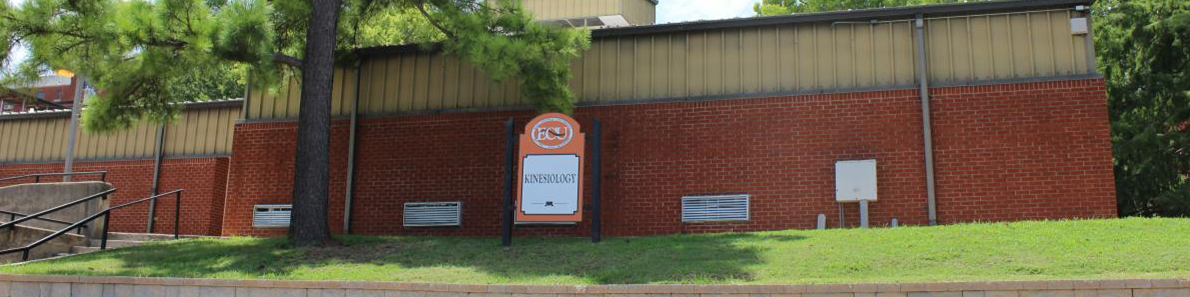 Kinesiology Banner