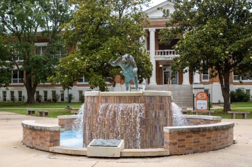 Tiger Fountain