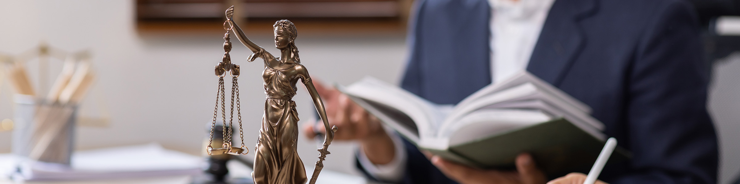 legal studies banner