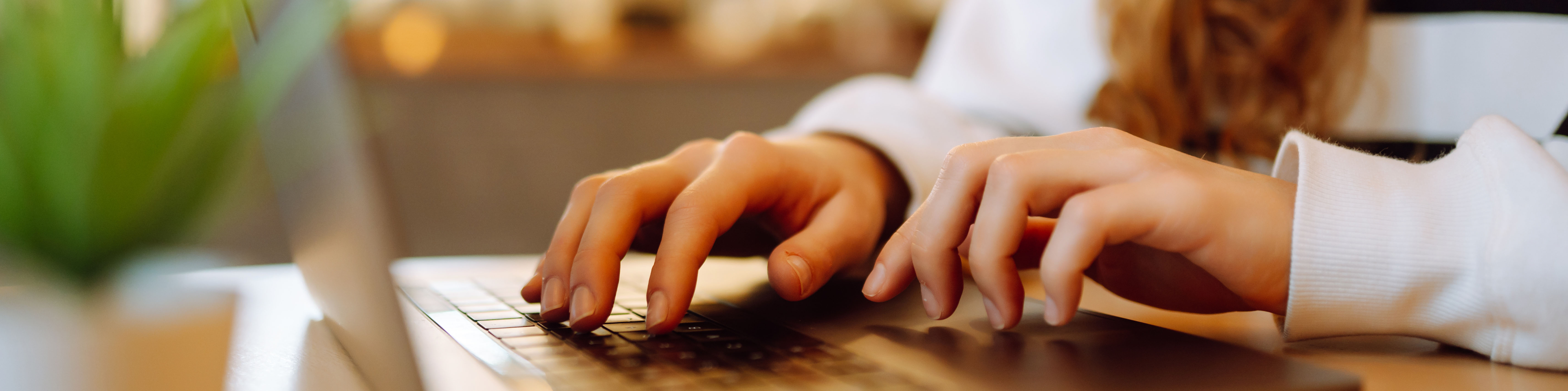 hands typing at a computer