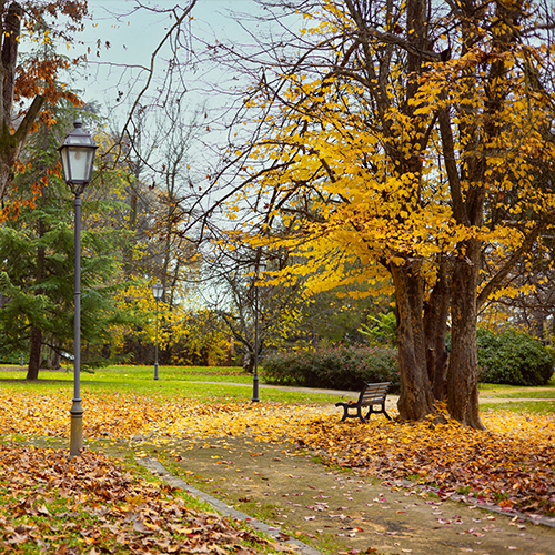 Fall Break Oct. 9-10