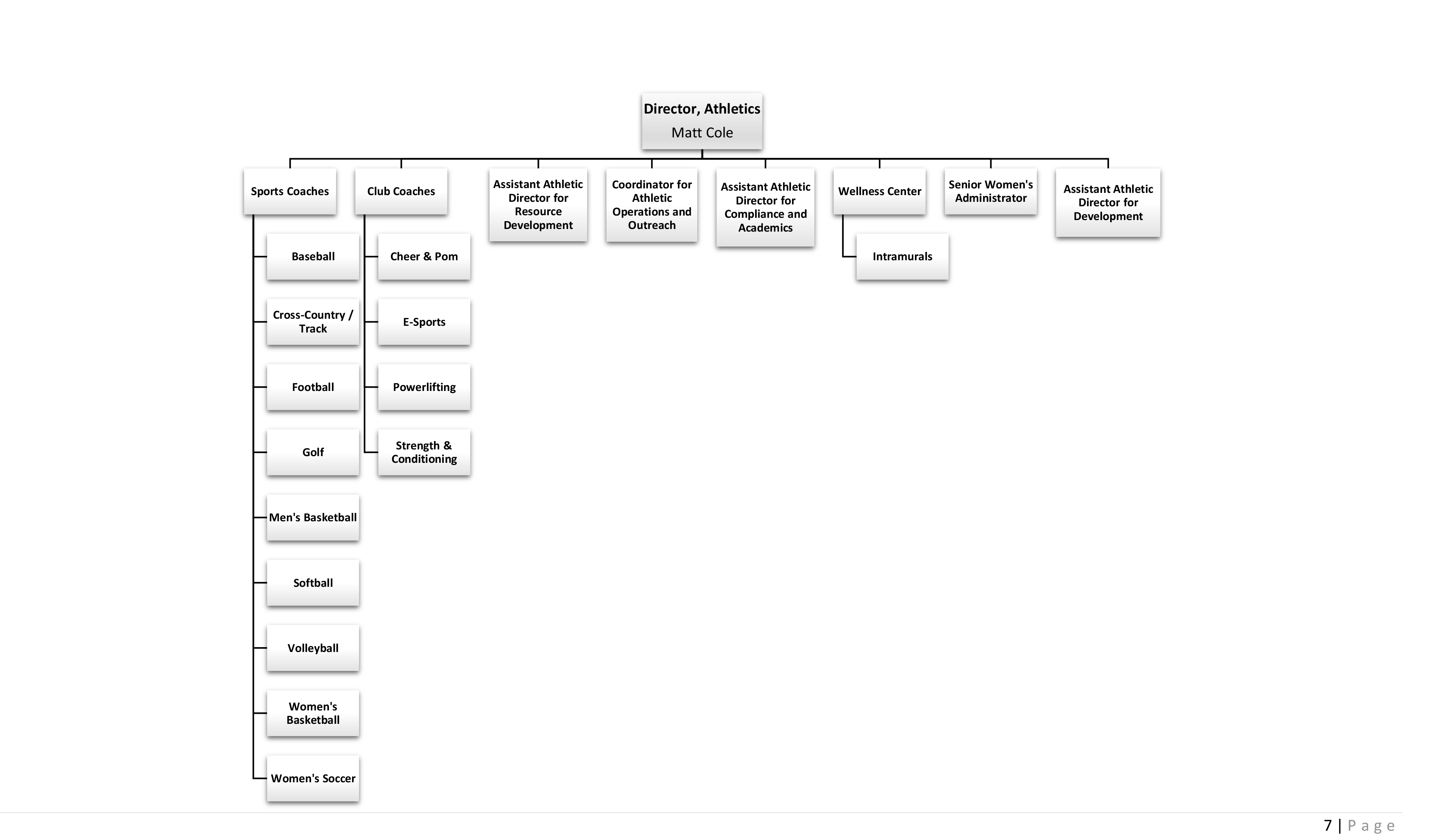 org chart p7