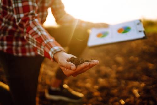 hand of expert farmer