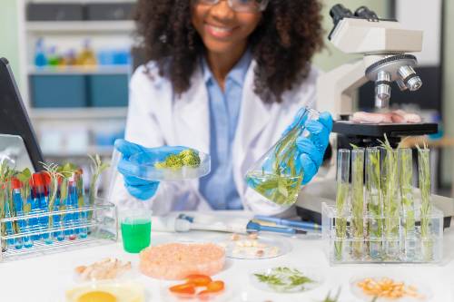 microbiologist working