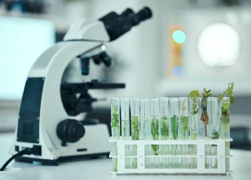 plant test tube and lab