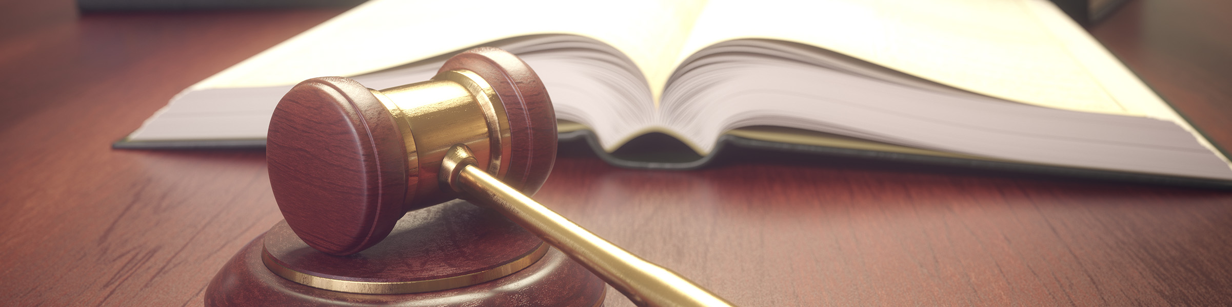 polititcs and law