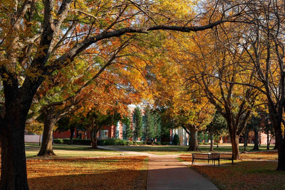 ECU to close in observance of Thanksgiving holiday 
