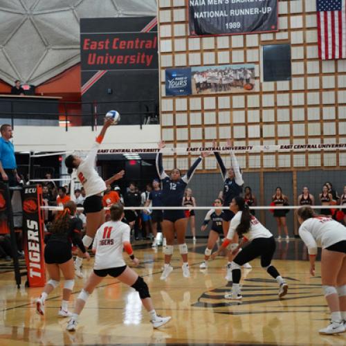 ECU Volleyball vs SWOSU 9.26.24