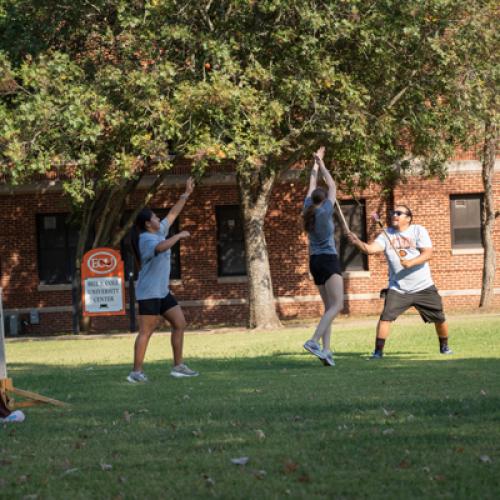 Stickball on the Lawn 24