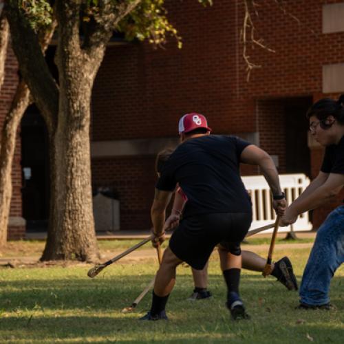 Stickball on the Lawn 24