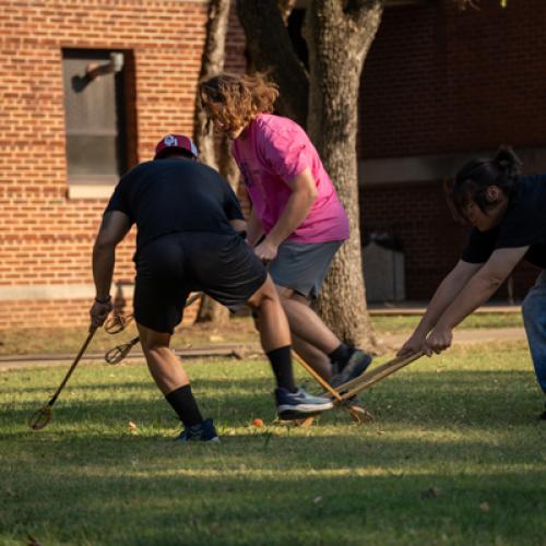 Stickball on the Lawn 24