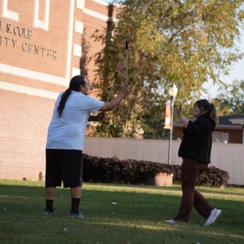 Stickball on the Lawn 24