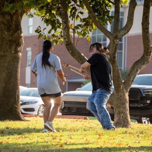 Stickball on the Lawn 24