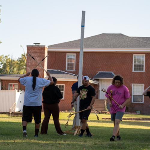 Stickball on the Lawn 24