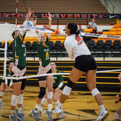 Volleyball vs Arkansas Tech University 