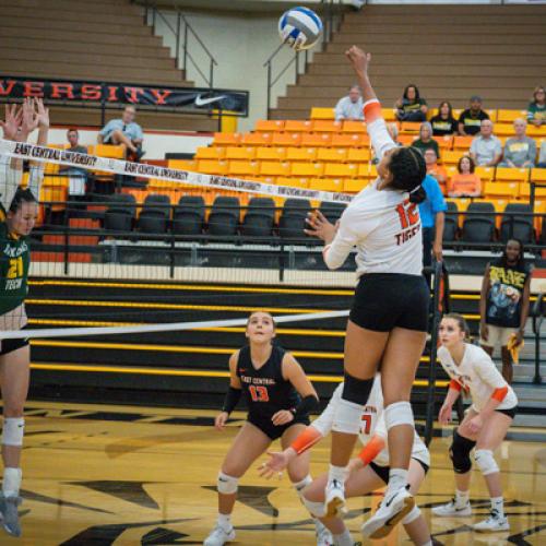 Volleyball vs Arkansas Tech University 