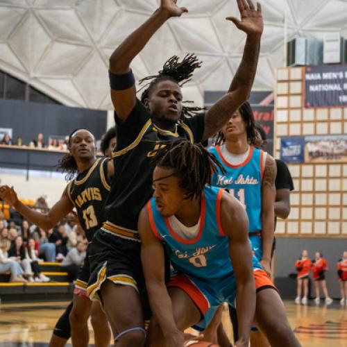 Men's Basketball vs Jarvis