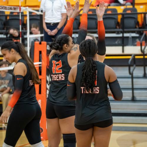 Volleyballl vs SNU Senior Night