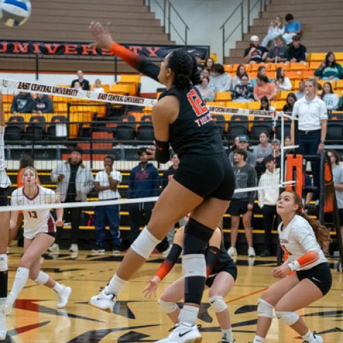 Volleyballl vs SNU Senior Night