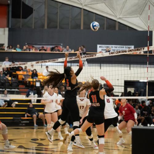 Volleyballl vs SNU Senior Night