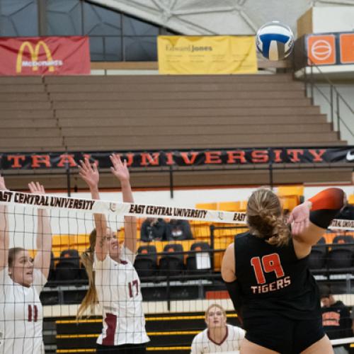 Volleyballl vs SNU Senior Night