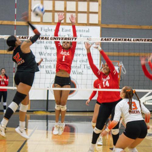 Volleyball VS Northwestern Oklahoma State University 